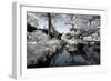 China 10MKm2 Collection - Another Look - Temple Lake-Philippe Hugonnard-Framed Photographic Print