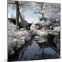 China 10MKm2 Collection - Another Look - Temple Lake-Philippe Hugonnard-Mounted Photographic Print