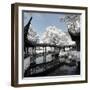 China 10MKm2 Collection - Another Look - Temple Lake-Philippe Hugonnard-Framed Photographic Print