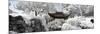 China 10MKm2 Collection - Another Look - Temple Park-Philippe Hugonnard-Mounted Photographic Print