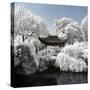 China 10MKm2 Collection - Another Look - Temple Park-Philippe Hugonnard-Stretched Canvas