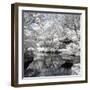 China 10MKm2 Collection - Another Look - White Pavilion-Philippe Hugonnard-Framed Photographic Print