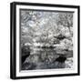 China 10MKm2 Collection - Another Look - White Pavilion-Philippe Hugonnard-Framed Photographic Print