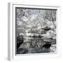 China 10MKm2 Collection - Another Look - White Pavilion-Philippe Hugonnard-Framed Photographic Print