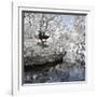 China 10MKm2 Collection - Another Look - White Pavilion-Philippe Hugonnard-Framed Photographic Print