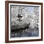 China 10MKm2 Collection - Another Look - White Pavilion-Philippe Hugonnard-Framed Photographic Print