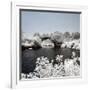 China 10MKm2 Collection - Another Look - Yulong Bridge-Philippe Hugonnard-Framed Photographic Print