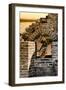 China 10MKm2 Collection - Arch Window of the Summer Palace-Philippe Hugonnard-Framed Photographic Print