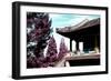 China 10MKm2 Collection - Architectural Temple-Philippe Hugonnard-Framed Photographic Print