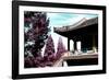 China 10MKm2 Collection - Architectural Temple-Philippe Hugonnard-Framed Photographic Print