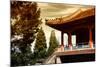 China 10MKm2 Collection - Architectural Temple-Philippe Hugonnard-Mounted Photographic Print