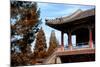 China 10MKm2 Collection - Architectural Temple-Philippe Hugonnard-Mounted Photographic Print