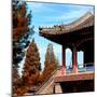 China 10MKm2 Collection - Architectural Temple-Philippe Hugonnard-Mounted Photographic Print