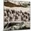 China 10MKm2 Collection - Army of Terracotta Warriors - Shaanxi Province-Philippe Hugonnard-Mounted Photographic Print