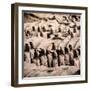 China 10MKm2 Collection - Army of Terracotta Warriors - Shaanxi Province-Philippe Hugonnard-Framed Photographic Print