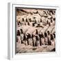 China 10MKm2 Collection - Army of Terracotta Warriors - Shaanxi Province-Philippe Hugonnard-Framed Photographic Print