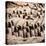 China 10MKm2 Collection - Army of Terracotta Warriors - Shaanxi Province-Philippe Hugonnard-Stretched Canvas