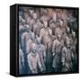 China 10MKm2 Collection - Army of Terracotta Warriors - Shaanxi Province-Philippe Hugonnard-Framed Stretched Canvas