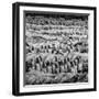 China 10MKm2 Collection - Army of Terracotta Warriors - Shaanxi Province-Philippe Hugonnard-Framed Photographic Print