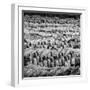 China 10MKm2 Collection - Army of Terracotta Warriors - Shaanxi Province-Philippe Hugonnard-Framed Photographic Print