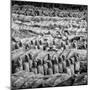 China 10MKm2 Collection - Army of Terracotta Warriors - Shaanxi Province-Philippe Hugonnard-Mounted Photographic Print