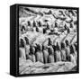 China 10MKm2 Collection - Army of Terracotta Warriors - Shaanxi Province-Philippe Hugonnard-Framed Stretched Canvas