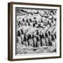 China 10MKm2 Collection - Army of Terracotta Warriors - Shaanxi Province-Philippe Hugonnard-Framed Photographic Print