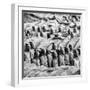 China 10MKm2 Collection - Army of Terracotta Warriors - Shaanxi Province-Philippe Hugonnard-Framed Photographic Print