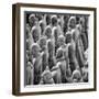 China 10MKm2 Collection - Army of Terracotta Warriors - Shaanxi Province-Philippe Hugonnard-Framed Photographic Print