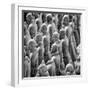 China 10MKm2 Collection - Army of Terracotta Warriors - Shaanxi Province-Philippe Hugonnard-Framed Photographic Print