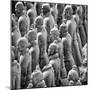 China 10MKm2 Collection - Army of Terracotta Warriors - Shaanxi Province-Philippe Hugonnard-Mounted Photographic Print