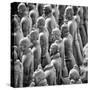 China 10MKm2 Collection - Army of Terracotta Warriors - Shaanxi Province-Philippe Hugonnard-Stretched Canvas