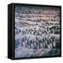 China 10MKm2 Collection - Army of Terracotta Warriors - Shaanxi Province-Philippe Hugonnard-Framed Stretched Canvas