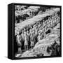 China 10MKm2 Collection - Army of Terracotta Warriors - Shaanxi Province-Philippe Hugonnard-Framed Stretched Canvas