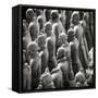 China 10MKm2 Collection - Army of Terracotta Warriors - Shaanxi Province-Philippe Hugonnard-Framed Stretched Canvas