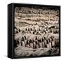 China 10MKm2 Collection - Army of Terracotta Warriors - Shaanxi Province-Philippe Hugonnard-Framed Stretched Canvas