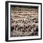 China 10MKm2 Collection - Army of Terracotta Warriors - Shaanxi Province-Philippe Hugonnard-Framed Photographic Print