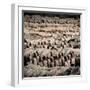 China 10MKm2 Collection - Army of Terracotta Warriors - Shaanxi Province-Philippe Hugonnard-Framed Photographic Print