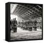 China 10MKm2 Collection - Army of Terracotta Warriors - Shaanxi Province-Philippe Hugonnard-Framed Stretched Canvas