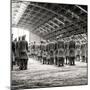 China 10MKm2 Collection - Army of Terracotta Warriors - Shaanxi Province-Philippe Hugonnard-Mounted Photographic Print