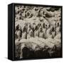 China 10MKm2 Collection - Army of Terracotta Warriors - Shaanxi Province-Philippe Hugonnard-Framed Stretched Canvas