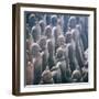 China 10MKm2 Collection - Army of Terracotta Warriors - Shaanxi Province-Philippe Hugonnard-Framed Photographic Print