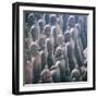 China 10MKm2 Collection - Army of Terracotta Warriors - Shaanxi Province-Philippe Hugonnard-Framed Photographic Print