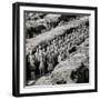 China 10MKm2 Collection - Army of Terracotta Warriors - Shaanxi Province-Philippe Hugonnard-Framed Premium Photographic Print