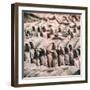 China 10MKm2 Collection - Army of Terracotta Warriors - Shaanxi Province-Philippe Hugonnard-Framed Photographic Print