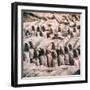 China 10MKm2 Collection - Army of Terracotta Warriors - Shaanxi Province-Philippe Hugonnard-Framed Photographic Print