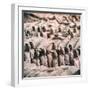 China 10MKm2 Collection - Army of Terracotta Warriors - Shaanxi Province-Philippe Hugonnard-Framed Photographic Print