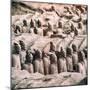 China 10MKm2 Collection - Army of Terracotta Warriors - Shaanxi Province-Philippe Hugonnard-Mounted Photographic Print