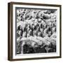 China 10MKm2 Collection - Army of Terracotta Warriors - Shaanxi Province-Philippe Hugonnard-Framed Photographic Print