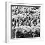 China 10MKm2 Collection - Army of Terracotta Warriors - Shaanxi Province-Philippe Hugonnard-Framed Photographic Print